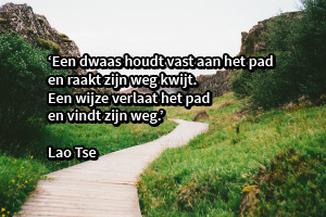 citaat4