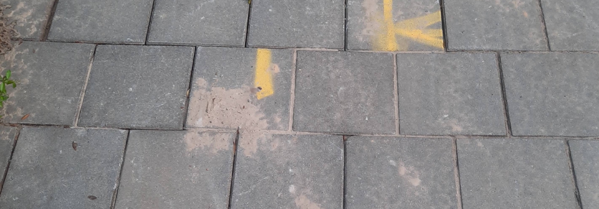 Vakantietijd= puzzeltijd